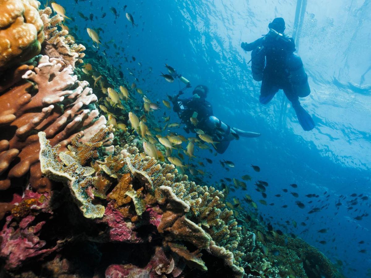 Cebu Seaview Dive Resort Moalboal Dış mekan fotoğraf