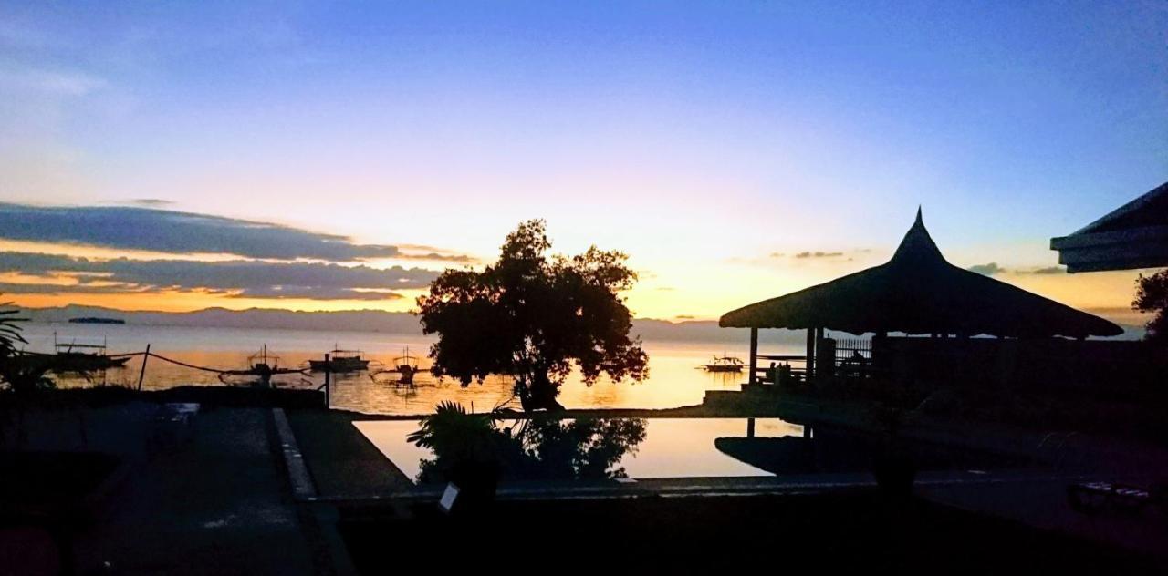 Cebu Seaview Dive Resort Moalboal Dış mekan fotoğraf